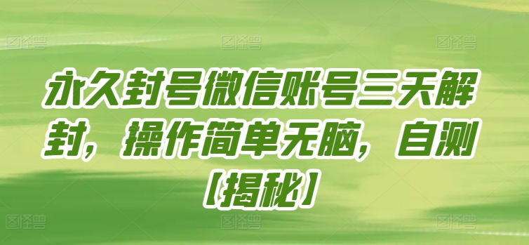 永久封号微信账号三天解封，操作简单无脑，自测-红山网创