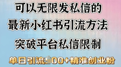 最新“摆烂式”引流打法，小红书私信引流，单天引流100+-红山网创
