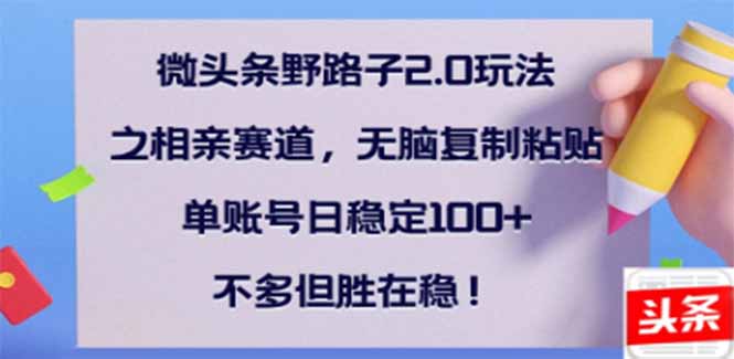 （14334期）微头条野路子2.0玩法之相亲赛道，无脑搬砖复制粘贴，单账号日稳定300+…-红山网创