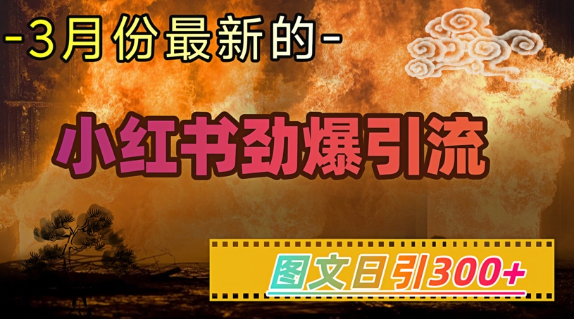 小红书超劲爆引流手段，图文日引300+轻松变现1W-红山网创