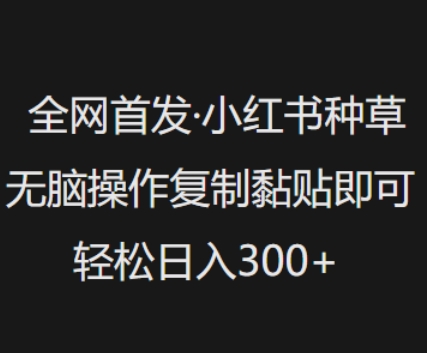 全网首发，小红书种草无脑操作，复制黏贴即可，轻松日入3张-红山网创