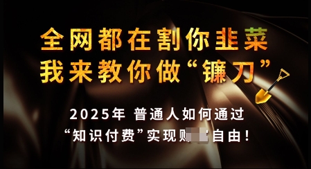 知识付费如何做到月入过W+，2025我来教你做“镰刀”【揭秘】-红山网创