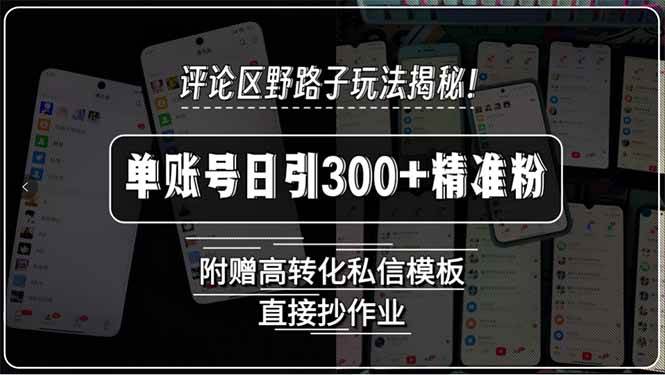 （15466期）评论区野路子玩法揭秘！单账号日引300+精准粉，附赠高转化私信模板，直…-红山网创