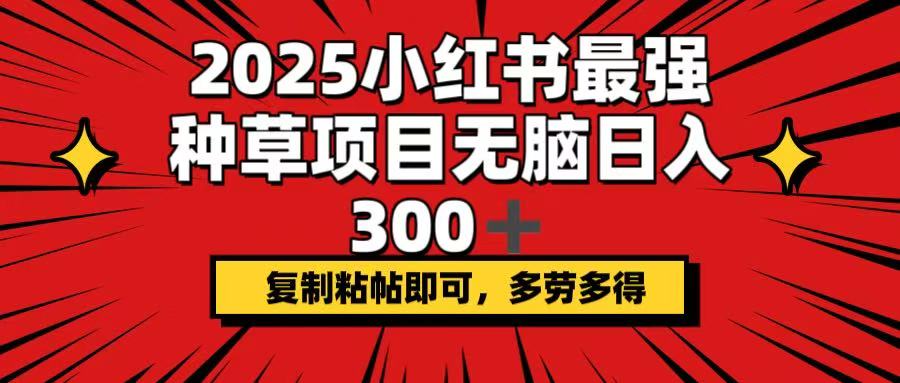 （14375期）2025小红书最强种草项目，无脑日入300+，复制粘帖即可，多劳多得-红山网创