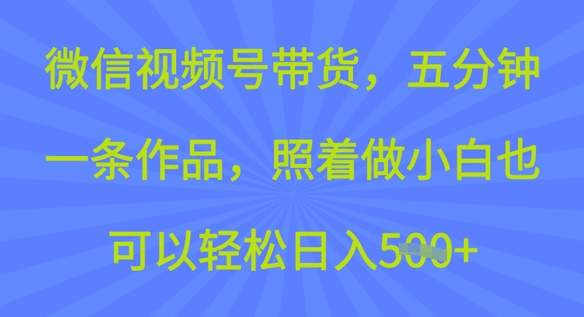 微信视频号带货，五分钟一条作品，照着做小白也可以轻松日入5张-红山网创