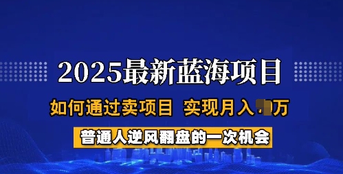 2025蓝海项目，普通人如何通过卖项目，实现月入过W，全过程【揭秘】-红山网创