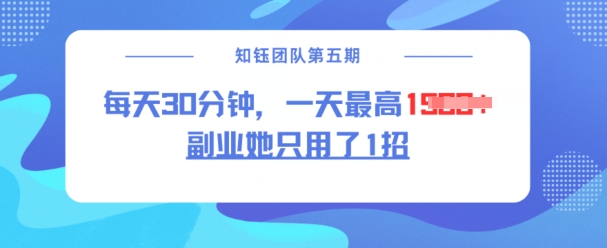 副业她只用了1招，每天30分钟，无脑二创，一天最高1.5k-红山网创