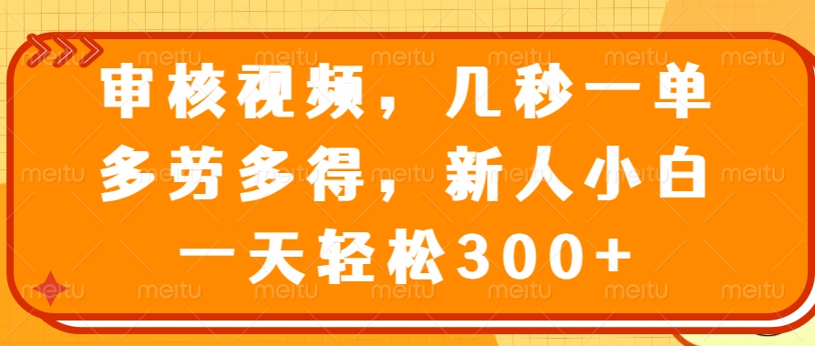 （14294期）审核视频，几秒一单，多劳多得，新人小白一天轻松300+-红山网创