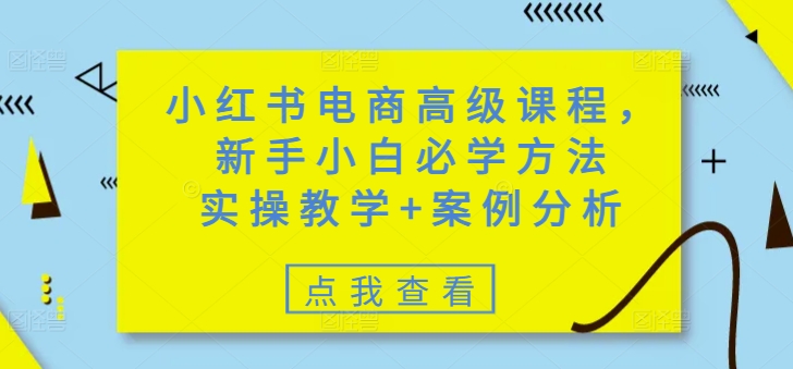 小红书电商高级课程，新手小白必学方法，实操教学+案例分析-红山网创