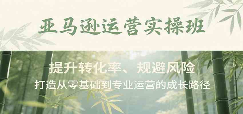亚马逊运营实操班，提升转化率、规避风险，打造从零基础到专业运营的成长路径-红山网创