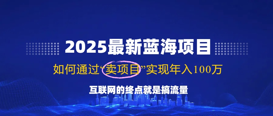 （14305期）2025最新蓝海项目，零门槛轻松复制，月入10万+，新手也能操作！-红山网创